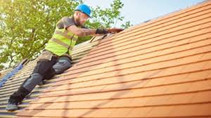 Best Metal Roofing Installation  in Webster, TX