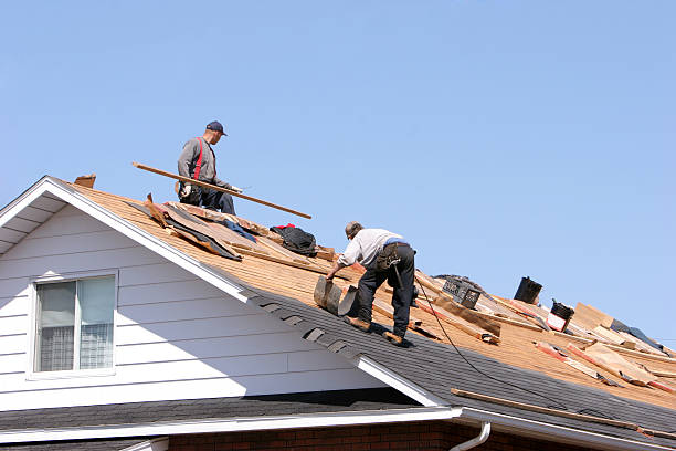 Best Roof Installation  in Webster, TX