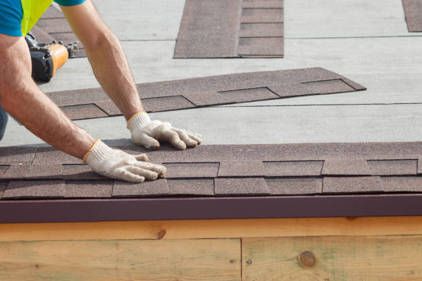 Best Slate Roofing  in Webster, TX