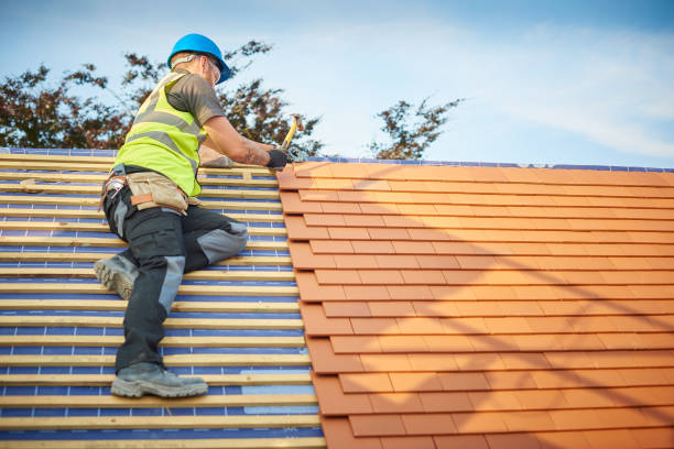 Professional Roofing services in Webster, TX